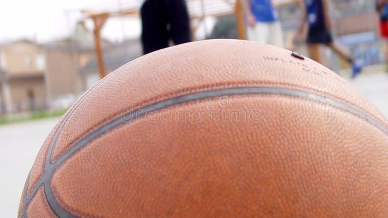 酒店大堂绿植租赁报价清单
