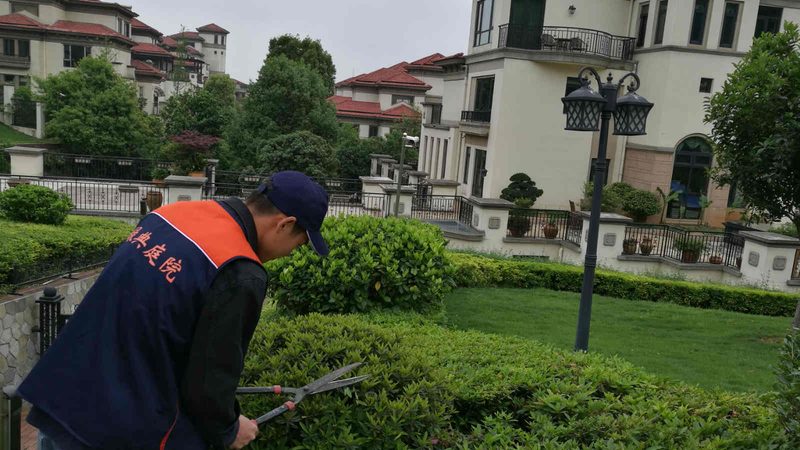 室内小景：假山喷泉的巧思与价格解析**