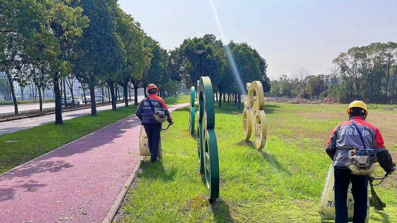 草坪铺设基础压实标准解析