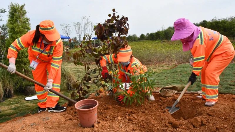 小区绿化工程报价明细：揭秘成本构成与合理预算**