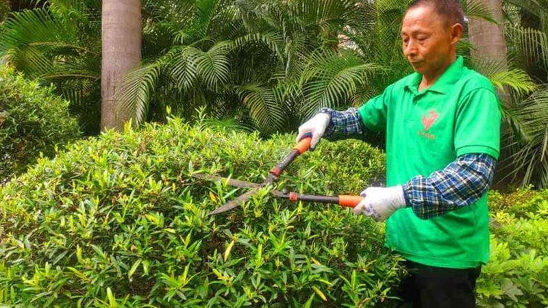 别墅花园石材拼花设计：如何打造个性与实用并存的景观空间