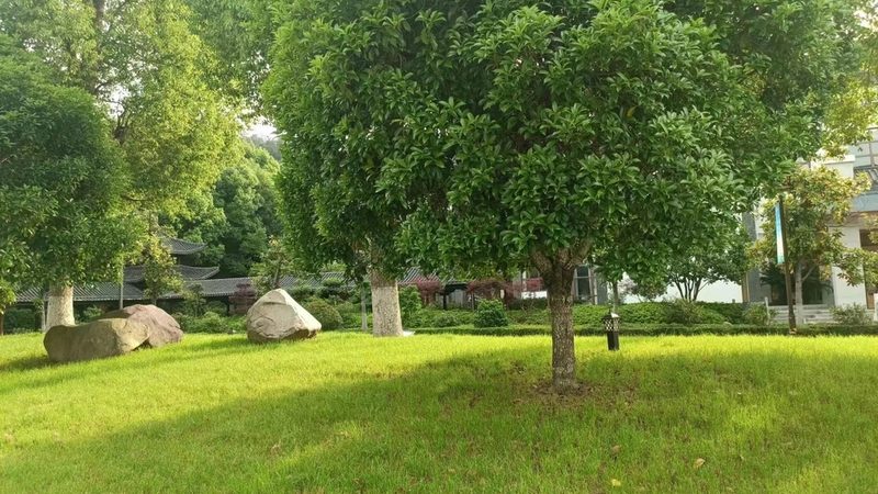 私家庭院景观设计：如何打造个性化的绿色家园**