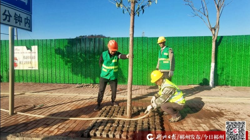 上海边坡绿化喷播公司：揭秘高效边坡绿化的秘密**