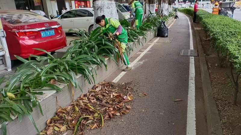 私家花园草坪铺设，价格几何？揭秘影响成本的关键因素**